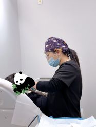 -Yestar 嘉兴艺星医疗美容医院