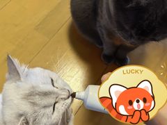 -青石桥花鸟鱼虫市场(叠翠城店)