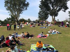 -铁山坪森林公园