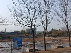 -郑东新区湿地公园