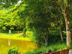 -东莞植物园