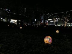 -探鱼·鲜青椒爽麻烤鱼(北京路天河城店)