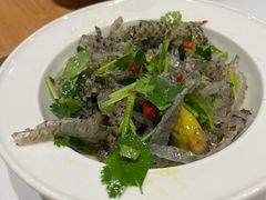 -饭怕鱼(阳光100店)