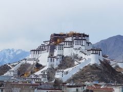 景观位-平措康桑·和牛自助观景餐厅(布达拉宫店)