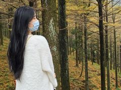 -四明山国家森林公园