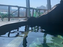 -汤乐汇•足道•SPA生活馆