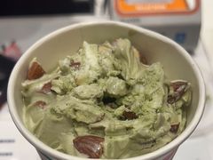 绿茶暴风雪-Dariy Queen