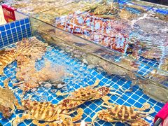 -驻海渔市(置信店)