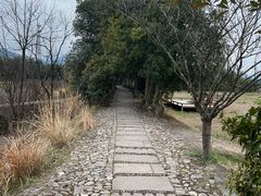 -皤滩古镇