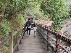 -广州白江湖森林公园