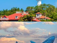 -烟台海昌鲸鲨海洋公园