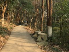 -赭山公园