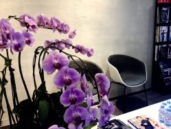 -SEBASTIAN塞巴斯汀