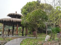 -东湖落雁景区