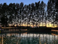 -宠乐会宠物乐园