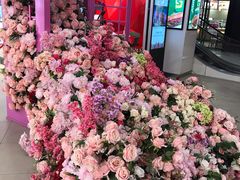 -杉杉奥特莱斯广场(哈尔滨店)