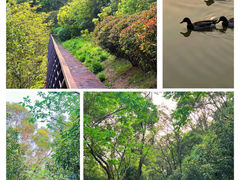 -牛岗山公园