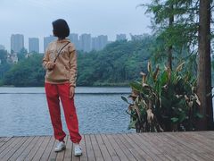 -重庆彩云湖湿地公园