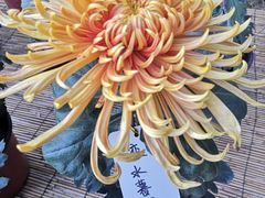 -北京植物园南门售票处