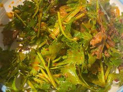 香菜拌牛肉-湘聚缘湘菜馆(斜土路店)