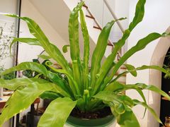 -森野花艺培训·企业团建活动沙龙