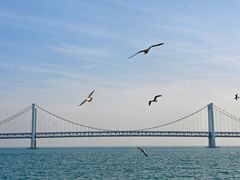 -星海湾跨海大桥