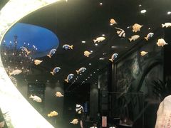 -泰谷酒店·太古码头闽菜自助餐厅