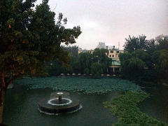 iphone_upload_pic-茉莉