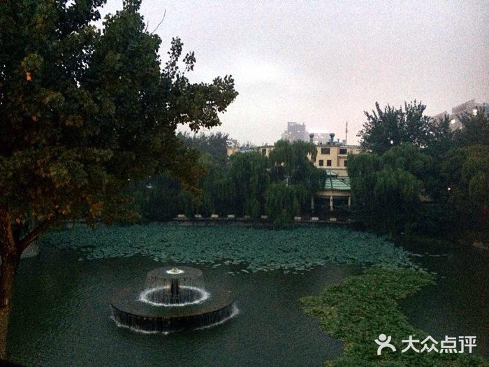 茉莉iphone_upload_pic图片