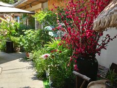 -王捌小院(红花坡店)