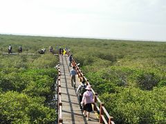 -北海金海湾红树林生态旅游区