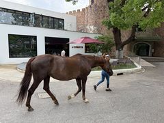 -J Create城市露营咖啡·简餐·宠物(上海动物园店)