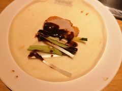 -守柴炉烤鸭(科华中路王府井店)