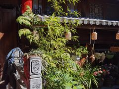 -龙姐私房菜(和顺古镇店)