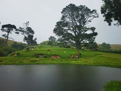 -霍比特人村