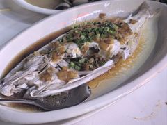 -阳江餐厅·30年老字号·粤菜海鲜大排档