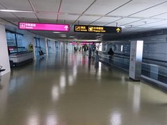 -郑州新郑国际机场