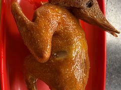 -光明刘冰乳鸽店(光明法政北路店)