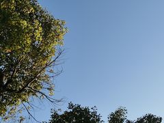 -重庆彩云湖湿地公园
