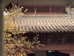 -钱王祠