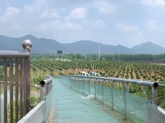 -云幽谷旅游区