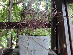 景观位-植觉