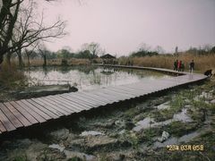 -西溪国家湿地公园