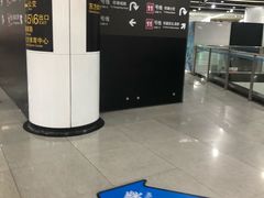 -东方体育中心(地铁站)