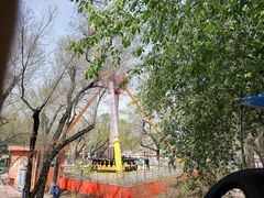 -哈尔滨文化公园