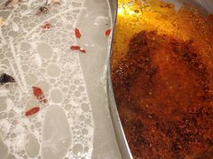 -季季红火锅(动壹店)