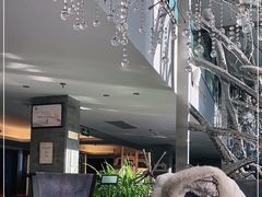 -唐廊烤鸭店(工体店)