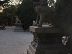 -迎泽公园