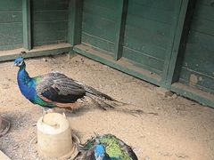 -羊亭河湿地公园