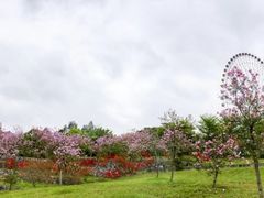 -南宁花花大世界景区